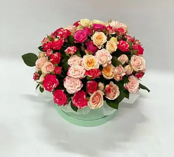 Созвездие