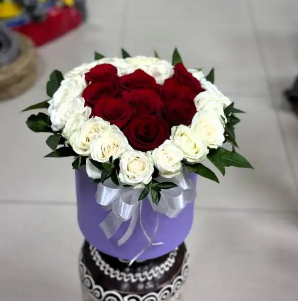 Сердце